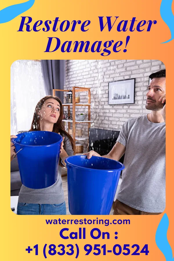water restoration Local Water Repair & Sons Mattituck